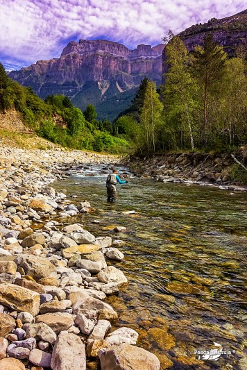 The Picture: The angler and the mountain = Peace